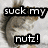 A squirrel with brown and white fur appears in four , displaying text overlays that read 'suck my nutz!' across the top-left