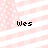 Four identical display pink and white striped backgrounds with pixelated text reading 'wes' in black