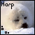 Two side-by-side animated frames of a seal icon with text labels, showing different poses on snowy backgrounds.