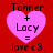 Four identical pixelated heart-shaped icons with text 'Tanner + Lacy = love<3' on a red background, two in the top and two in the bottom