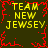 Pixelated yellow text "TEAM NEW JERSEY" repeated four times on dark green background with red crack-like border.