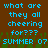 Brown background with blue pixelated text reading 'what are they all cheering for??? SUMMER 07' and green pixelated grass at the bottom.