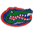 Four sports team logos arranged in a : Florida Gators, Boston Red Sox, Boston Celtics, and New England Patriots