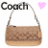 A pixelated Coach handbag icon with a pink heart above it, next to purple text reading 'which one to pick' on a gray background.