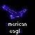 Animated sequence of blue pixelated shapes forming and dissolving into 'american eagle' text on black background.