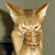 iconhell_emopnknerd_catmyprecious