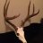 Static image of a deer skull with antlers against a gradient background, rendered in low-resolution pixel art style.