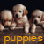 Three pixelated puppies with light brown and white fur sit side-by-side on a dark background beneath orange text reading 'puppies'.