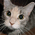 A pixelated cat face on the left and green text reading "Original Icons .com" on a dark background.
