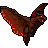 Pixelated creature with brown body and orange-red wing edges, wings spread wide against gray background.