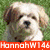 A static image of three dogs with overlaid text: a white dog on grass, a golden retriever, and a puppy in leaves.