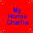 Red background with white dots, repeated blue text "My Homie Charlie" in three of four icons each