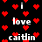 Black background with scattered red pixel hearts and repeated white text 'i love caitlin' in a pixelated font.