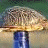 Animated icon shows a golden turtle shell on blue base with Red Bull can and 'CRAZY TURTLE' text, transitioning from static to animated state.