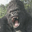 A pixelated gorilla face with open mouth and visible teeth, set against a blurred green background with cyan text reading 'sexy.'