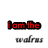 Six variations of a pixelated text-based icon showing "i am the" in different colors above "walrus" on white background.