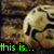 A pixelated image of a skull with green text reading 'this is...' and 'life' on a brown textured background.