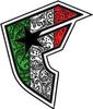 A stylized shield-shaped icon with a black star, green and red sections, and intricate silver patterns on a white background.
