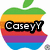 A static image with four distinct sections: a rainbow Apple logo with 'CaseyY' text, a red circular emblem with white rings and '13', a black-and-white play button with 'random', and a blank gray area.