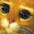 A close-up of an orange cat's face with large dark eyes and a pink nose, showing subtle animation changes