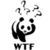Black-and-white pixelated panda with raised arms, multiple question marks above head, and 'WTF' text below; two versions show different vertical positioning relative to a gray rectangle.