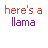 A static image displays multiple text phrases about llamas in orange and purple pixelated fonts on a white background, with 'DUCK!!!' in orange at the bottom left.