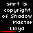 Pixelated text displays "smrt is copyright of Shadow Master Lloyd" with red underline beneath "Lloyd", repeated in three on black background