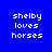 Blue background with white pixelated text 'shelby loves horses' repeated across six , each with a cyan rectangular overlay on one line of text