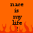 Pixelated orange background with black text reading 'race is my life!' and red-orange flames at the bottom.
