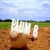 Animated scene of two hands holding white objects over a brown ground with green grass and blue sky background.