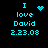 Four identical pixelated text on black background with cyan text reading "I love David 2.23.08" and varying small symbols above the 'I'