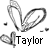 A grayscale pixelated icon featuring a large heart shape with smaller hearts and scattered dots, alongside the text 'Taylor' in bold black letters.