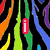 A static image with four quadrants: top-left has colorful vertical stripes and a red 'i' icon; top-right shows a pixelated zebra with 'luuh' text; bottom-left features a zebra-patterned circle with 'zebras' text and three pink hearts; bottom-right is empty gray.