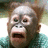 A pixelated monkey face with open mouth on left, cyan background with red 'OMG!!' text on right.