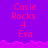Purple background with pink text reading 'Casie Rocks 4 Eva' repeated across multiple , with a pink wave-like border separating sections