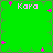 Green background with four 'Kara' text labels and scattered pink flower icons arranged in a pattern