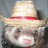 A pixelated ferret wearing a straw hat with a red band, positioned against a gray background.