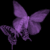 Pixelated purple butterfly with four wings and segmented body against solid black background.