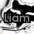 Pixelated grayscale icon with the name 'Liam' in bold, blocky letters over a black silhouette of a person holding a microphone against a white background.