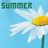 Pixelated image of a daisy with white petals and yellow center against light blue background, text 'SUMMER' in dark green block letters at top.