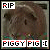 A static image of a brown piggy with dark eyes and snout, surrounded by text elements including 'RIP' in red at top-left and 'PIGGY PIG :[' below.