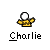 Pixelated icon shows a figure with white spherical head and yellow patterned torso, arms extended left-right against gray background; text 'Charlie' below in black-and-white pixel font.