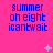 A bright pink background displays blue pixelated text reading "summer oh eight icantwait" in three , with small light blue plus and star symbols scattered across the