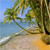 Pixelated beach scene with palm tree leaning over sandy shore, blue water, and sky background.