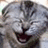 Pixelated cat face with closed eyes and open mouth on left; blue background with pixelated text 'SMILE!!!!! = )' on right.