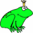 Green frog with crown on white background, text 'Where Is My Prince?', '<3 Frogs', and 'Marissa' on dark green background.