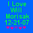 Green pixelated text on blue background reads 'I Love Will Morisak 12-21-07' with pink and purple asterisks below, two versions differ in asterisk arrangement.