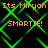 Pixelated orange text repeats 'Its Miryah' and 'SMARTIE!' over a green on black background, with no visible motion changes