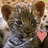 Animated sequence of a spotted feline cub with brown ears and blue eyes, showing heart symbols in different positions across frames.