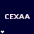 Dark blue background with repeated white 'CEXAA' text and varying white star patterns in a